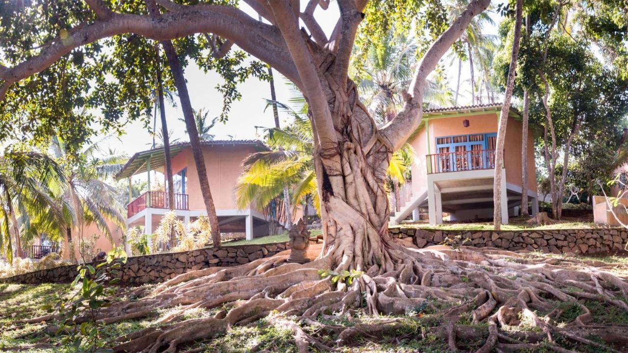 Palace Mirissa Exterior foto